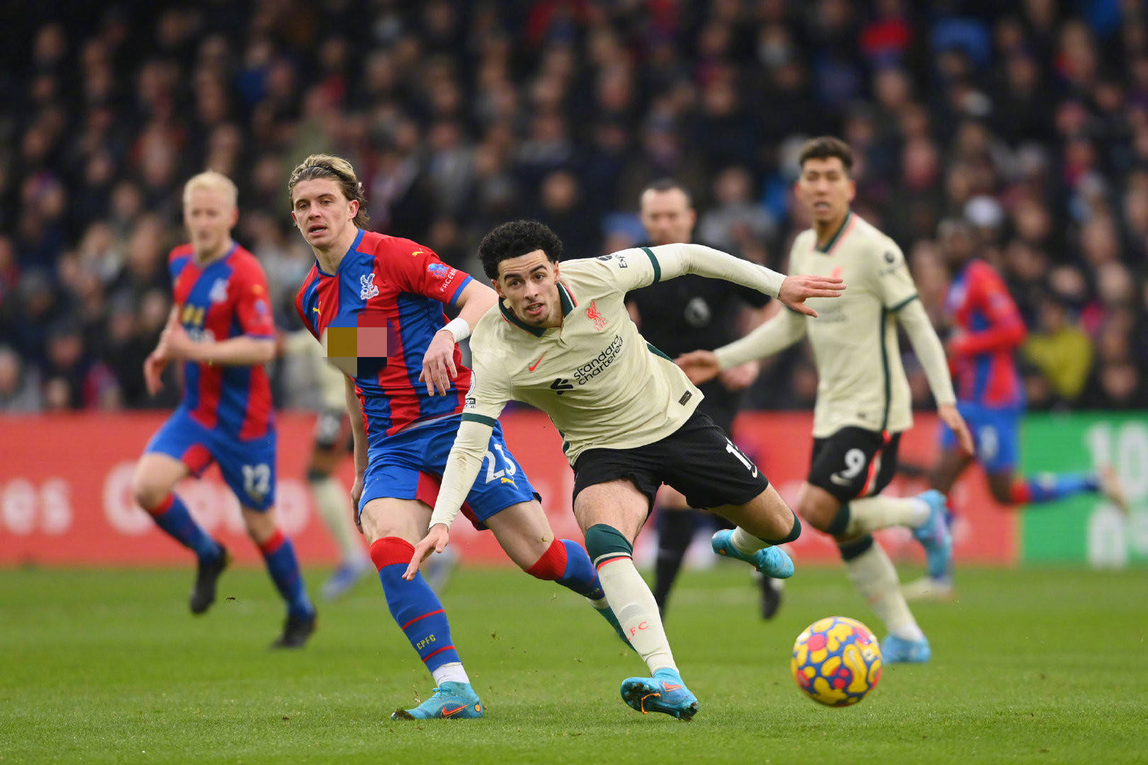 循序渐进 循序渐进